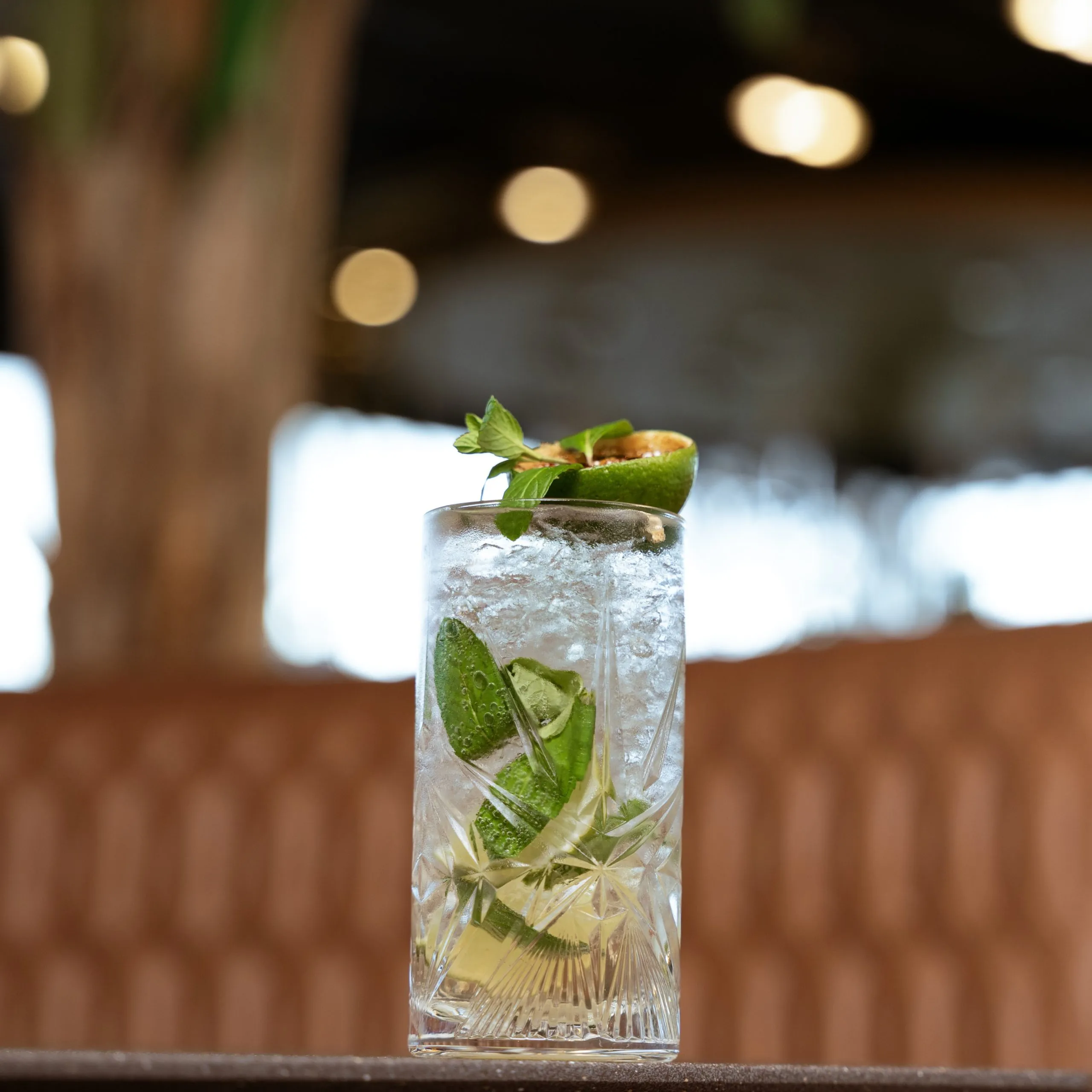 Mojito Mocktail